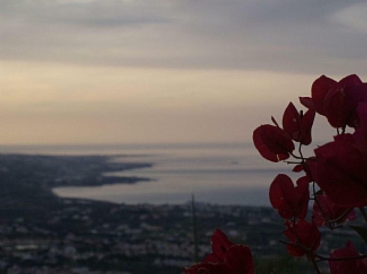 Villa Aphrodite Peyia Dış mekan fotoğraf